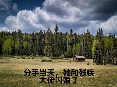 分手当天,她和残疾大佬闪婚了小说全文(谢清辉苏若晚)全文免费阅读无弹窗大结局-(谢清辉苏若晚)无弹窗免费阅读大结局