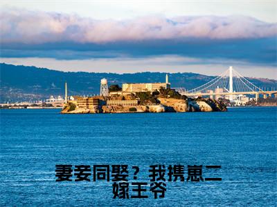 妻妾同娶?我携崽二嫁王爷(沈清墨小说)全文免费阅读无弹窗大结局_(沈清墨小说)妻妾同娶?我携崽二嫁王爷最新章节列表