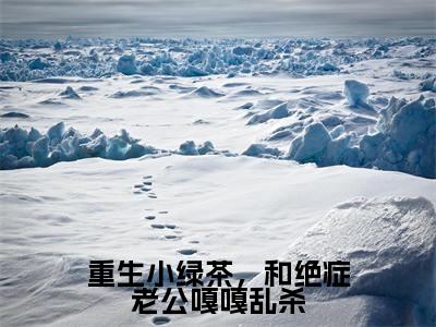 小说宋敬呈沈禾全文免费阅读无弹窗大结局-重生小绿茶，和绝症老公嘎嘎乱杀在线阅读