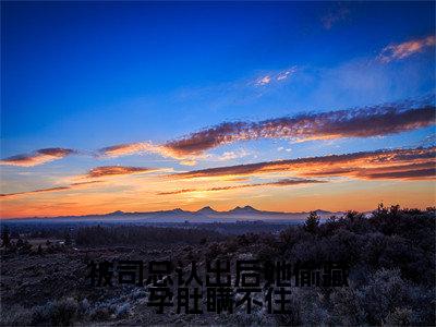 被司总认出后她偷藏孕肚瞒不住司祁白姜眠眠小说全文免费阅读无弹窗大结局_被司总认出后她偷藏孕肚瞒不住（司祁白姜眠眠）最新章节列表笔趣阁