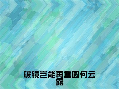 破镜岂能再重圆何云露(何云露全章节完整版)免费阅读-破镜岂能再重圆何云露全文无删减阅读