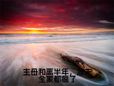 主母和离半年,渣夫全家都疯了(李长英周棠宁)全文免费阅读无弹窗大结局_主母和离半年,渣夫全家都疯了全文在线阅读无弹窗