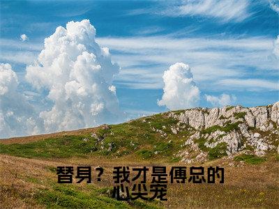 沈婉清傅逸炎全文免费阅读大结局-替身？我才是傅总的心尖宠最新章节阅读