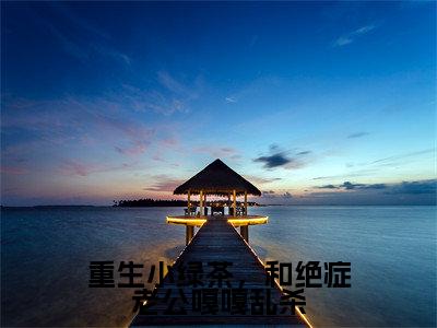 主角为宋敬呈沈禾的小说-重生小绿茶，和绝症老公嘎嘎乱杀（宋敬呈沈禾）全文最新完整版阅读
