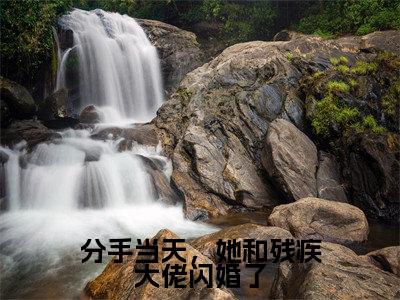 谢清辉苏若晚(分手当天,她和残疾大佬闪婚了)未删减-谢清辉苏若晚完结版阅读地址