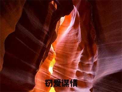 窃爱谋情（梁咏荷全文免费阅读）小说最新章节_窃爱谋情全文免费阅读最新章节列表_笔趣阁