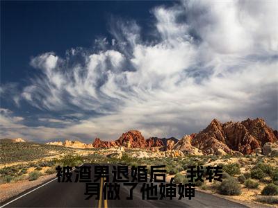 被渣男退婚后，我转身做了他婶婶小说限时免费，沈沐宇完结版小说阅读无弹窗_笔趣阁