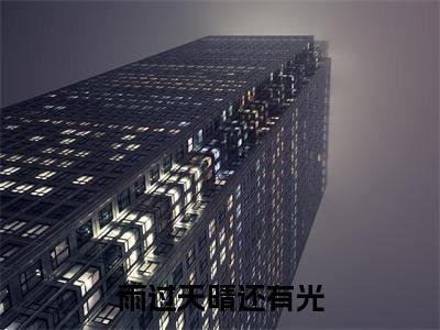雨过天晴还有光小说全文免费阅读无弹窗-孟绍元司雪卉全文在线阅读