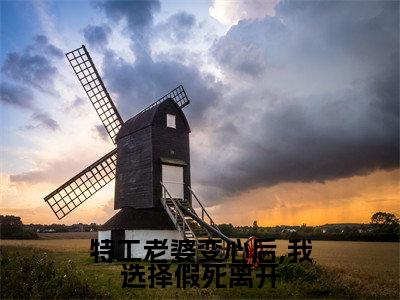特工老婆变心后,我选择假死离开全文免费在线阅读_许远舟江雪曦全文免费阅读无弹窗大结局