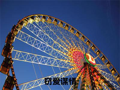 窃爱谋情（梁咏荷）全文免费阅读无弹窗大结局_梁咏荷无弹窗最新章节列表_笔趣阁