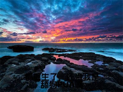 都重生了,还当我是舔狗PUA啊精彩章节免费阅读_(高芙蓉徐阳)都重生了,还当我是舔狗PUA啊抖音热推小说最新章节阅读