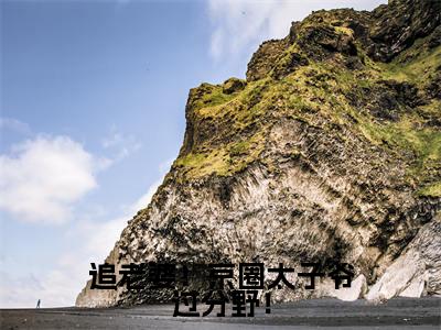 陆景泽望星河免费版最新更新阅读-追老婆！京圈太子爷过分野！小说全文在线阅读