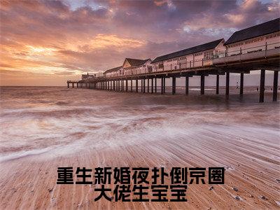 重生新婚夜扑倒京圈大佬生宝宝沈珍珍凤西诀抖音新书热荐-小说重生新婚夜扑倒京圈大佬生宝宝全文完整版免费阅读