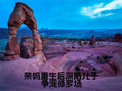 亲妈重生后深陷儿子争宠修罗场最新热门小说-(林絮)最新章节免费阅读