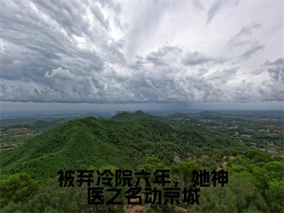 叶倾城免费阅读无弹窗大结局,被弃冷院六年,她神医之名动京城最新章节