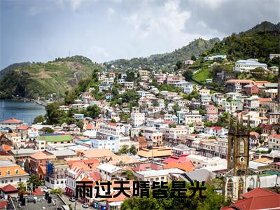 孟忻枝司霆烈（雨过天晴皆是光）全文免费阅读无弹窗大结局_雨过天晴皆是光_笔趣阁