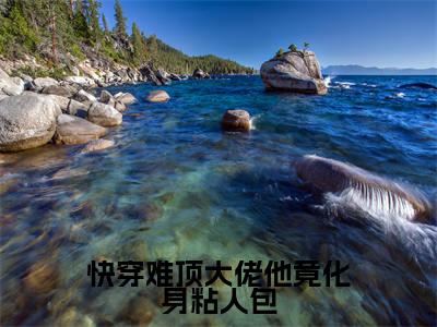 快穿难顶大佬他竟化身粘人包全文免费阅读无弹窗大结局（云月卿南辞）_快穿难顶大佬他竟化身粘人包最新章节列表_笔趣阁（云月卿南辞）