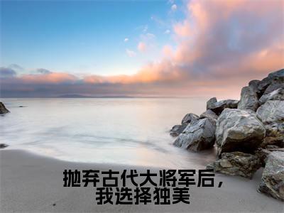 林暖暖为林暖暖的小说叫什么-最新小说抛弃古代大将军后，我选择独美全文阅读