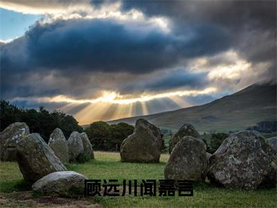 顾远川闻嘉言（顾远川闻嘉言）小说全文免费阅读-顾远川闻嘉言小说最新章节完整版