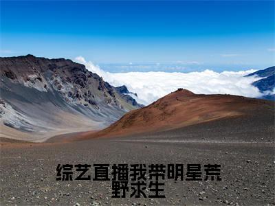 主角是李音笙的小说（综艺直播我带明星荒野求生）-（综艺直播我带明星荒野求生）李音笙全文免费阅读无弹窗大结局笔趣阁