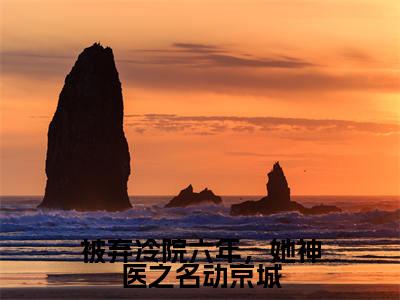 被弃冷院六年,她神医之名动京城小说全文免费阅读(叶倾城)全文免费阅读无弹窗大结局