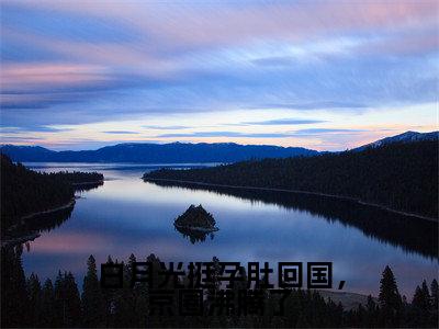 （封景澈俞禧悦番外+免费）白月光挺孕肚回国，京圈沸腾了小说主角叫什么-封景澈俞禧悦全文免费阅读大结局