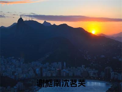 谢昶南沈茗芙（沈茗芙谢昶南）免费全文阅读小说_谢昶南沈茗芙最新章节列表-笔趣阁（沈茗芙谢昶南）