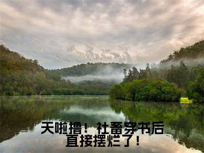 后续+全集肖倾宇司念(完整版)热文小说阅读-肖倾宇司念全文抖音热推