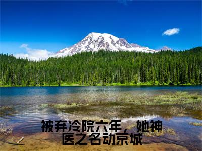 叶倾城小说（被弃冷院六年，她神医之名动京城）免费阅读-被弃冷院六年，她神医之名动京城（叶倾城）全章节最新阅读
