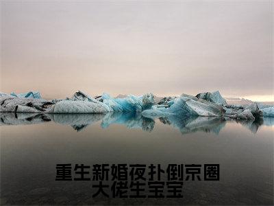 重生新婚夜扑倒京圈大佬生宝宝(沈珍珍凤西诀)新上热文小说讲的是什么-小说重生新婚夜扑倒京圈大佬生宝宝(沈珍珍凤西诀)全文免费阅读