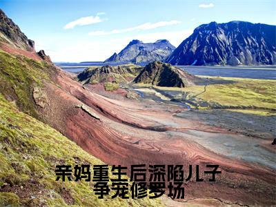 林絮（亲妈重生后深陷儿子争宠修罗场）火热新书无弹窗大结局_（林絮）亲妈重生后深陷儿子争宠修罗场最新章节列表_笔趣阁