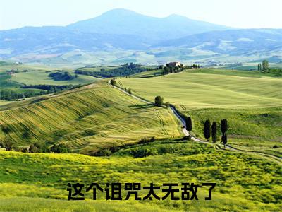 这个诅咒太无敌了（沈青）全文免费阅读无弹窗大结局_这个诅咒太无敌了（沈青）小说全文免费阅读最新章节列表