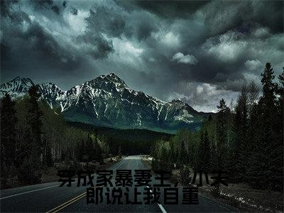 穿成家暴妻主,小夫郎说让我自重顾清鸢小说-穿成家暴妻主,小夫郎说让我自重小说免费阅读