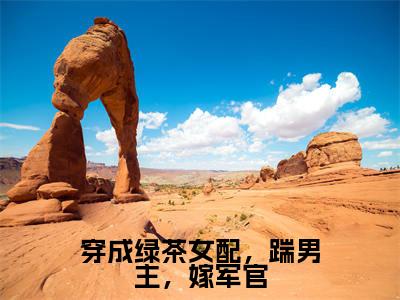 （何溪陆羡安）全文免费阅读无弹窗大结局_穿成绿茶女配，踹男主，嫁军官完整版最新阅读_笔趣阁（何溪陆羡安）