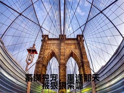 主角是许紫贺宴的小说-蓄谋独宠，重逢那天被狠狠索吻全文无弹窗免费阅读
