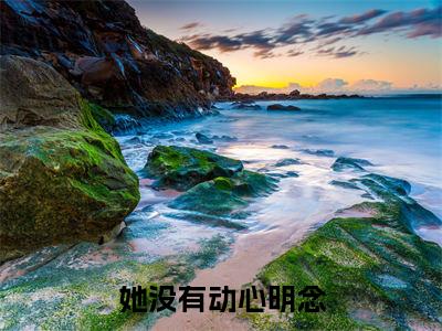 季岑明念最后结局如何，她没有动心明念强推全文阅读无弹窗