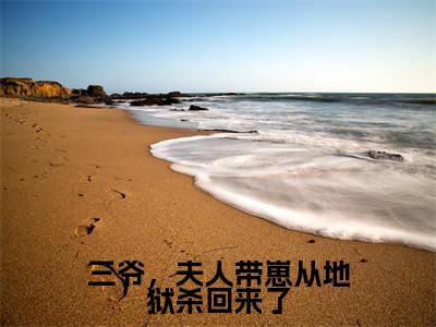 三爷，夫人带崽从地狱杀回来了（秦安欣陆骁寒）全文免费阅读无弹窗大结局_三爷，夫人带崽从地狱杀回来了小说全文免费阅读最新章节列表（秦安欣陆骁寒）