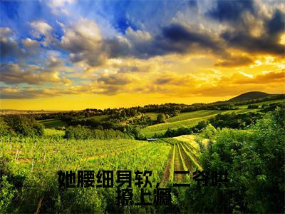她腰细身软，二爷哄撩上瘾小说（江晚禾）全文免费阅读无弹窗大结局_江晚禾最新章节列表（江晚禾）