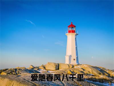 沈南竹(爱随春风八千里)独家首发免费小说-(沈南竹)爱随春风八千里小说全文在线阅读笔趣阁