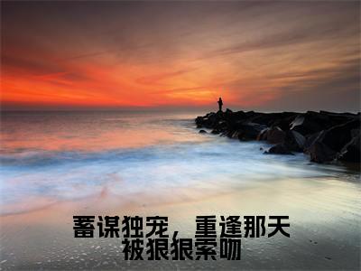 许紫贺宴（蓄谋独宠，重逢那天被狠狠索吻）全文免费阅读无弹窗-蓄谋独宠，重逢那天被狠狠索吻主角叫许紫贺宴的小说全章节免费阅读