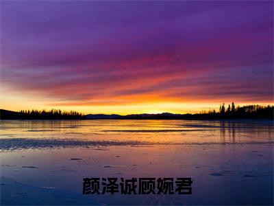 颜泽诚顾婉君小说（颜泽诚顾婉君）全文免费阅读_颜泽诚顾婉君最新章节列表笔趣阁（颜泽诚顾婉君）