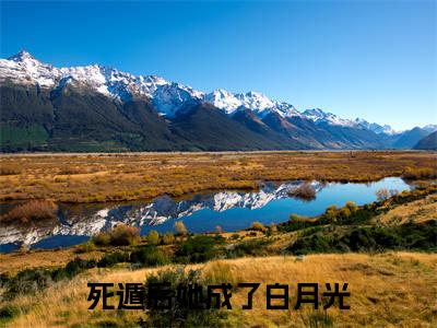 死遁后她成了白月光（傅纪淮宋迦凝）小说全文无删减版_死遁后她成了白月光最新章节列表_笔趣阁（傅纪淮宋迦凝）