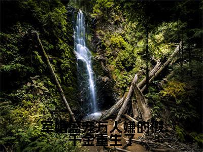 小说军婚盛宠万人嫌的假千金重生了完整版在线阅读苏雨棠墨祈安精选小说推荐试读