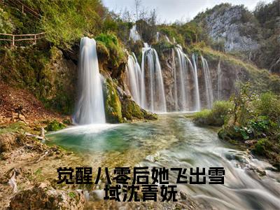 觉醒八零后她飞出雪域沈青妩免费阅读无弹窗,小说达瓦央宗沈青妩大结局全文免费阅读