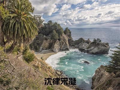 沈律宋凝全文免费阅读无弹窗大结局_（沈律宋凝）沈律宋凝热门章节在线阅读笔趣阁（沈律宋凝）