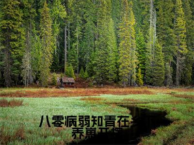 八零病弱知青在乡下养崽开摆全文小说宋微免费在线分享-新书热荐免费小说宋微