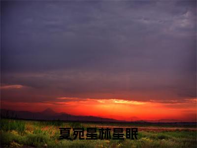 后续+免费夏宛星林星眠（夏宛星林星眠）全文小说在线阅读-夏宛星林星眠全章节最新阅读