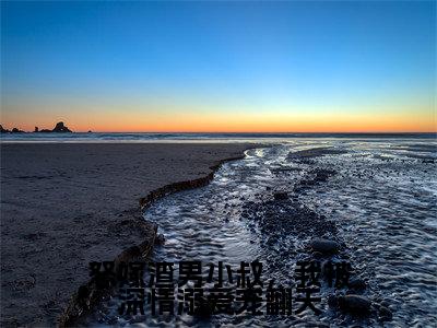 怒嫁渣男小叔，我被深情溺爱宠翻天秦语顾铭晏全文完整版-秦语顾铭晏小说在线阅读