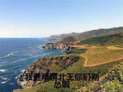 主角为叶凌风的小说-我继承镇北王你们别怂啊(叶凌风)全文完整版阅读