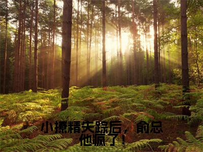黎漫俞霁舟小说免费阅读黎漫俞霁舟小说在哪里可以看